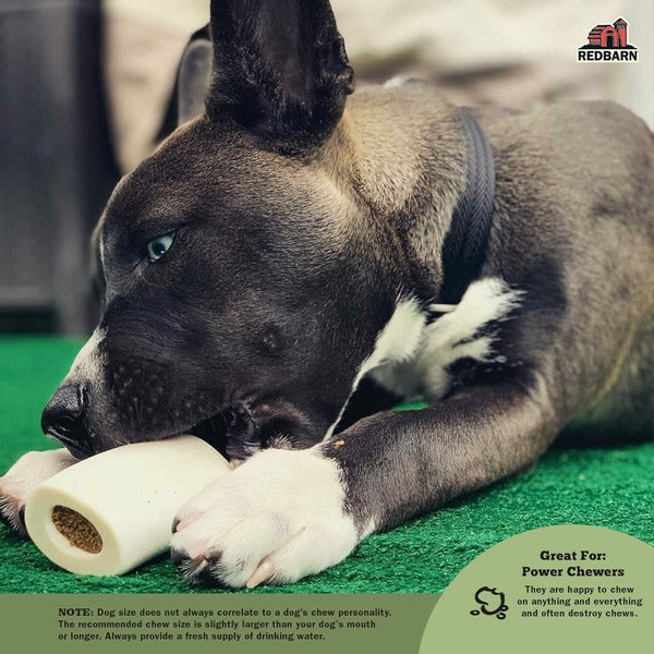 RedBarn Filled Bone Beef Flavor, Large