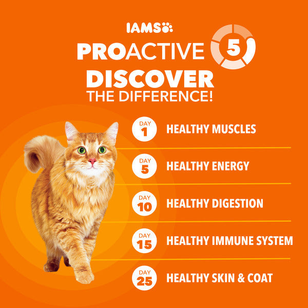 IAMS PROACTIVE HEALTH Adult Healthy Dry Cat Food with Chicken Cat Kibble, 16 lb. Bag