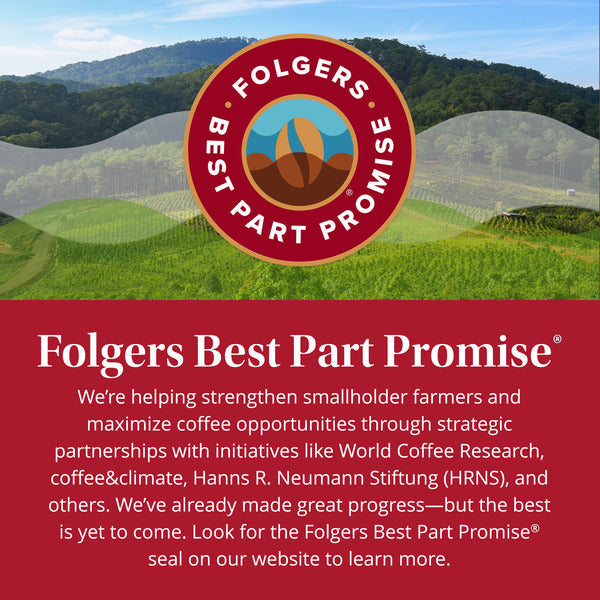 Folgers Black Silk Ground Coffee, Dark Roast