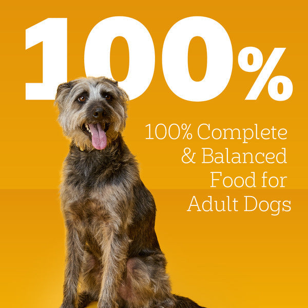 Pedigree Chopped Ground Dinner Beef, Bacon & Cheese Flavor Dog Food