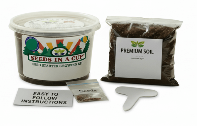 Judas Tree Grow Kit – Non-GMO Seed Starter Set