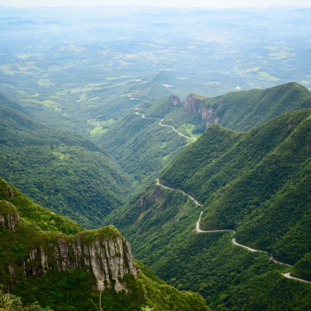 Brazil Matas de Minas