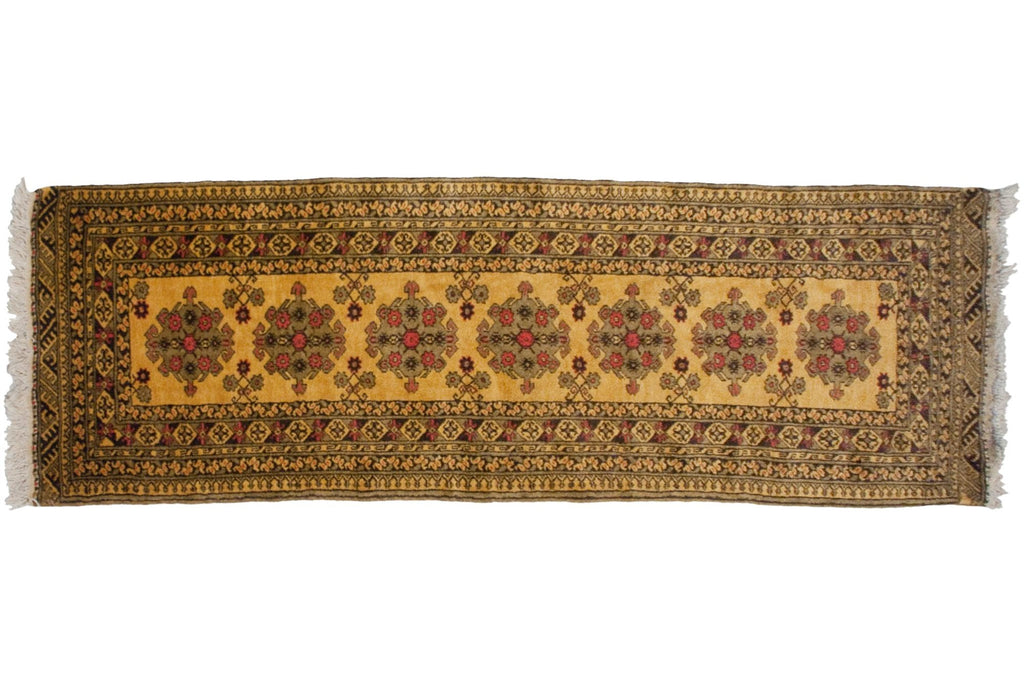 2.5x9.5 Vintage Daulatabad Rug Runner