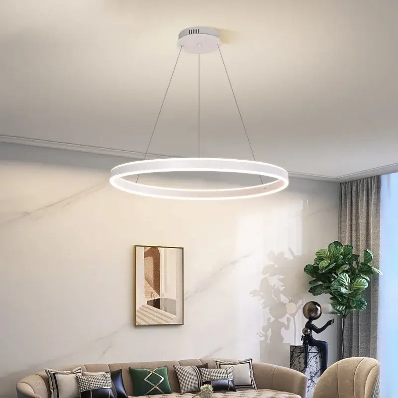 Modern black circle pendant chandelier living room led light