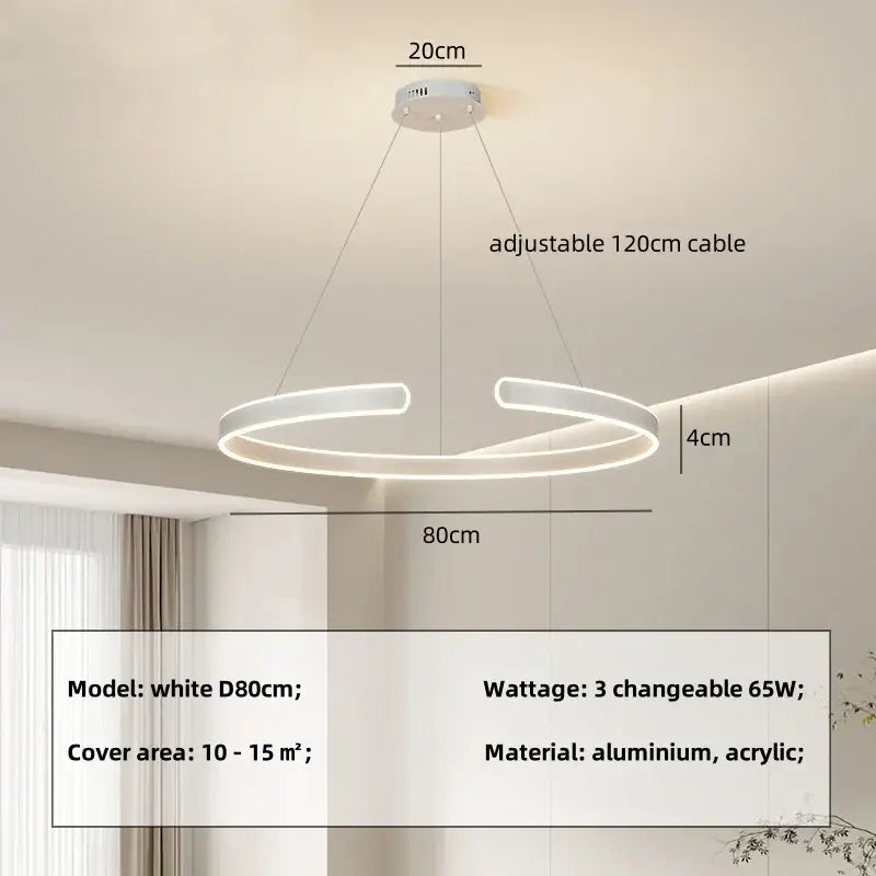 Modern black circle pendant chandelier living room led light
