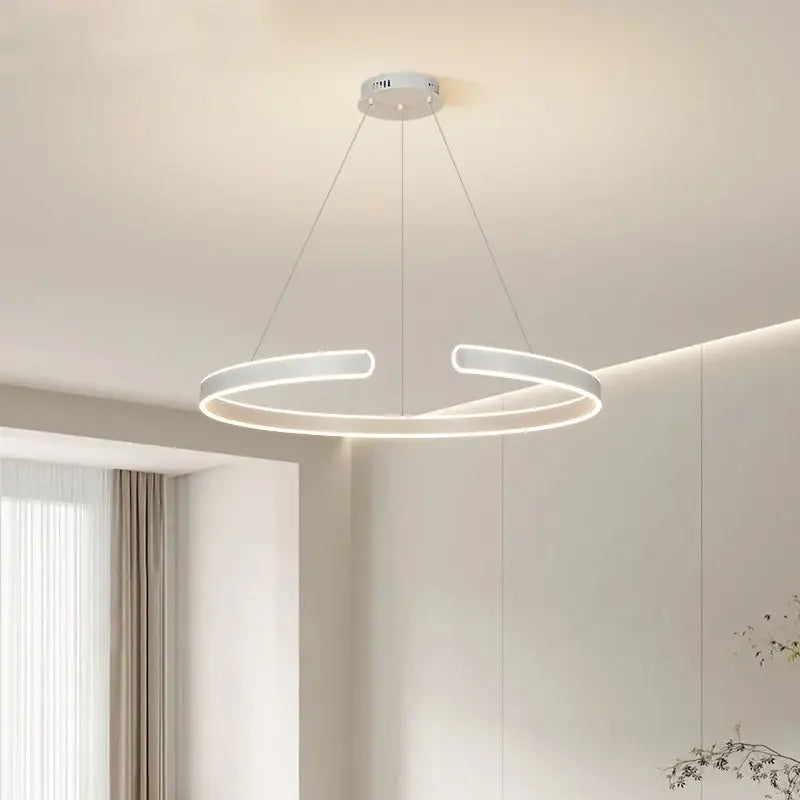 Modern black circle pendant chandelier living room led light