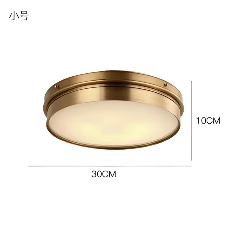 Modern brass led ceiling light for living room with frosted glass