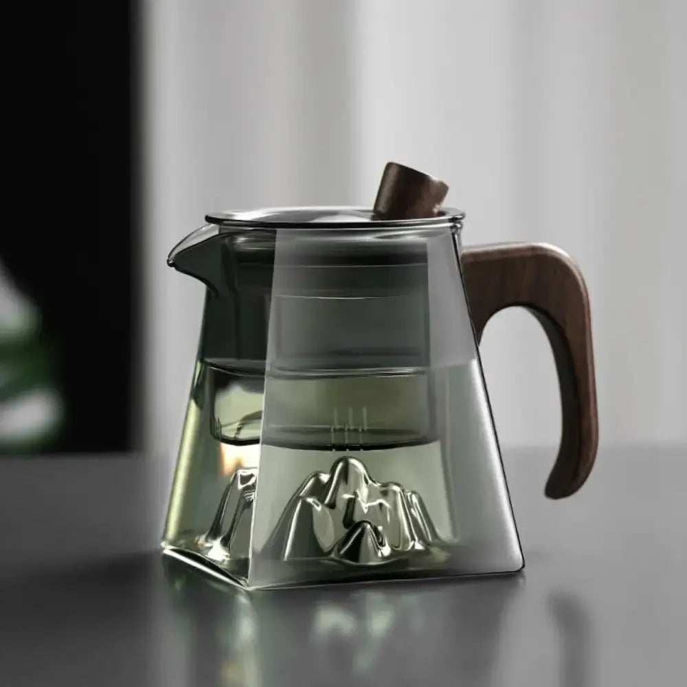 Modern square glass tea pot with wooden handle and mountain infuser kitchen