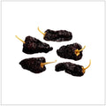 Mulato Chiles