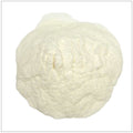 Papain Powder