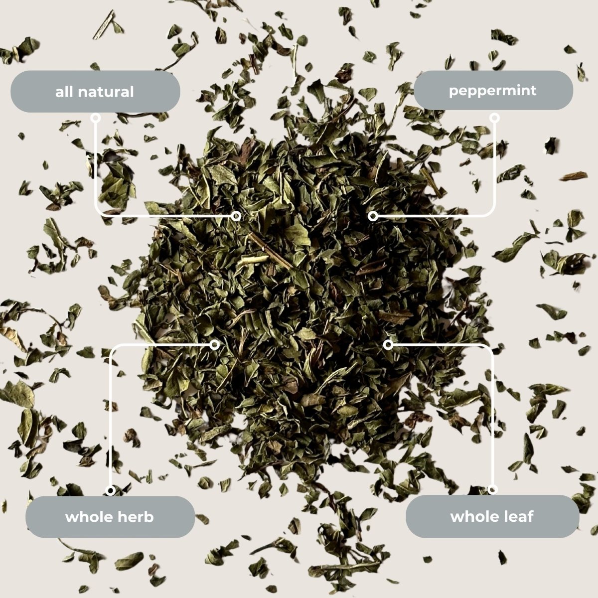 Peppermint Mini Tea Tube (5 tea bags)