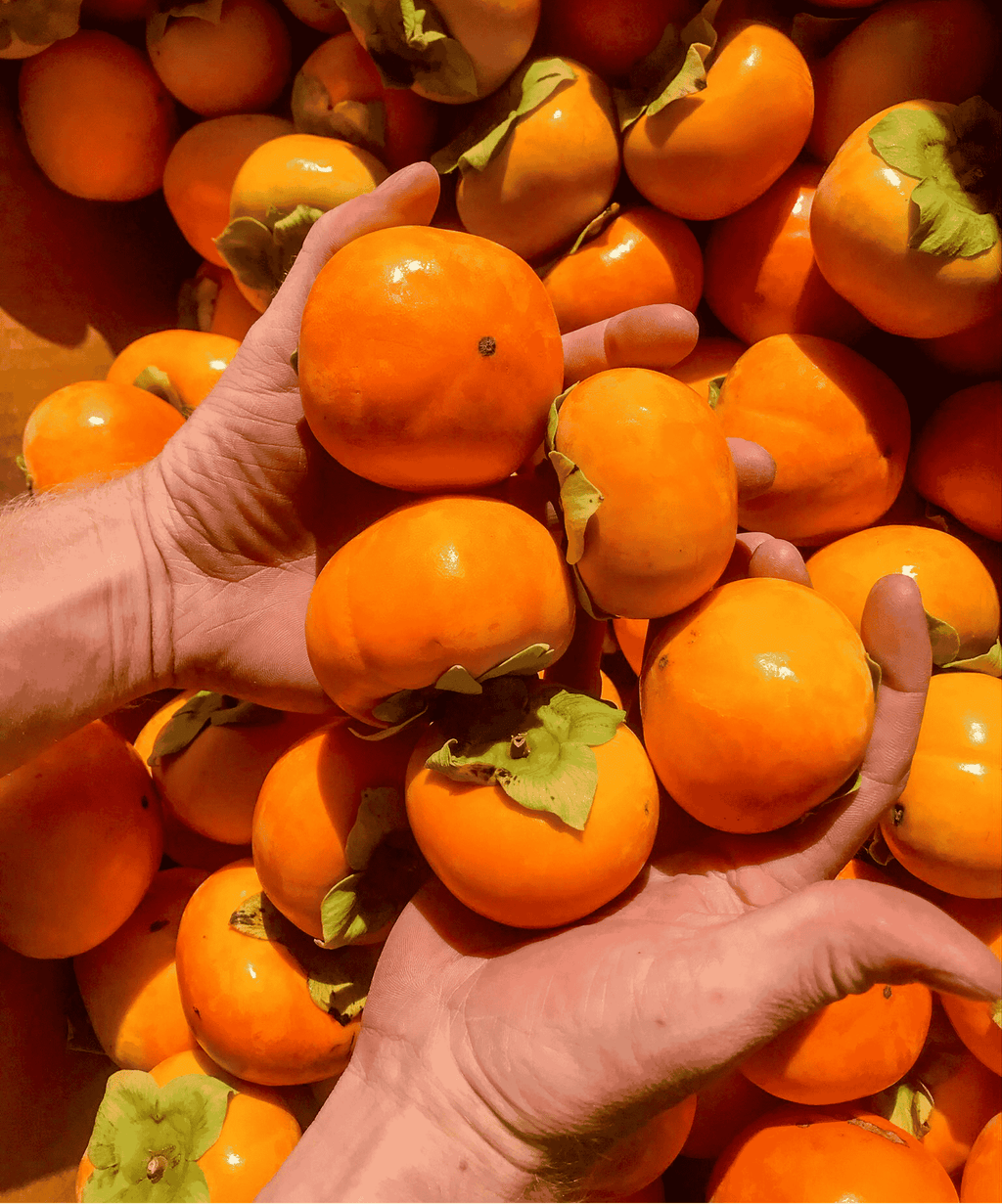 Naturally Fermented Persimmon Vinegar