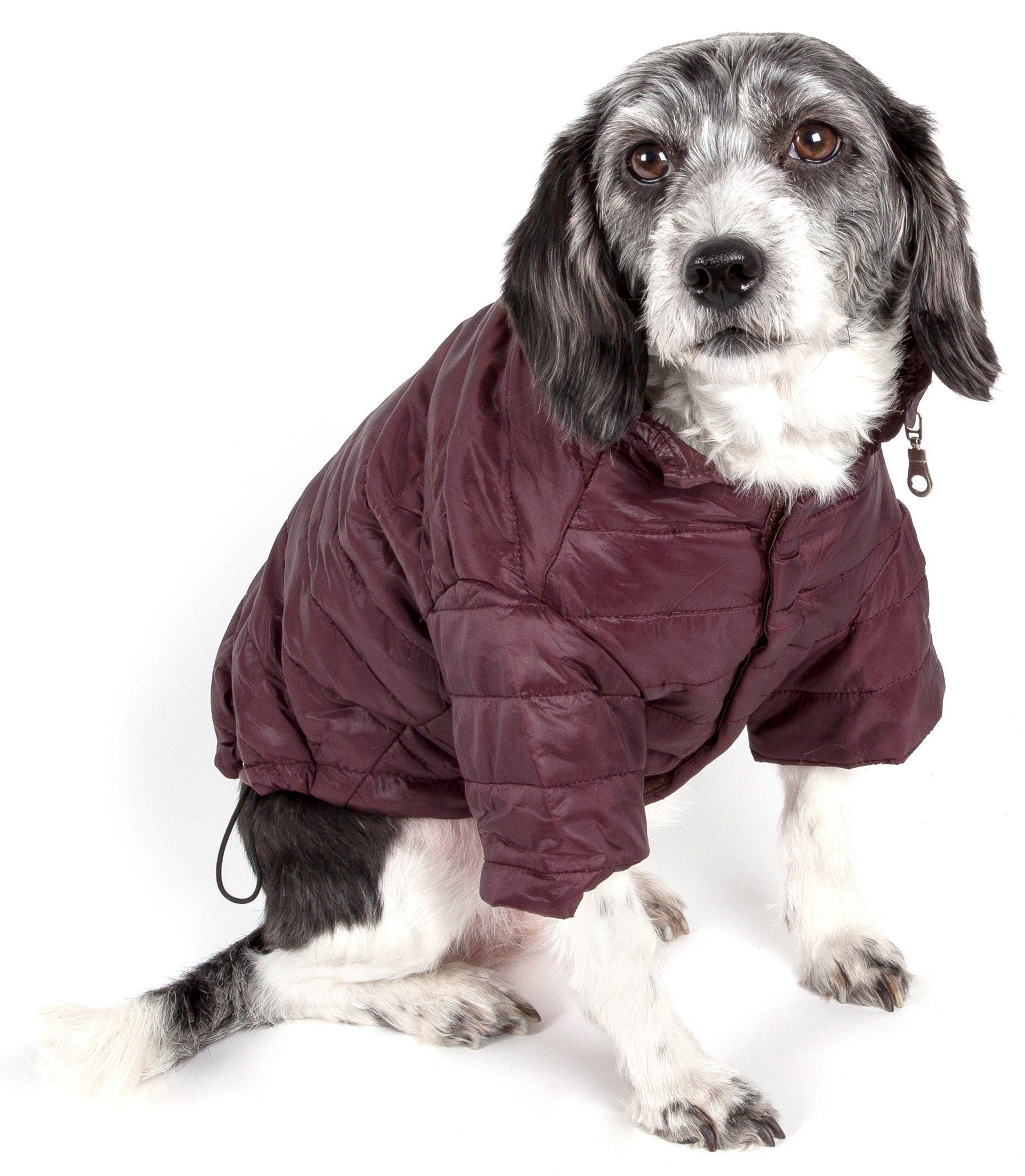 Pet Life ® Lightweight Adjustable and Collapsible 'Sporty Avalanche' Dog Coat w/ Pop-out Zippered Hood