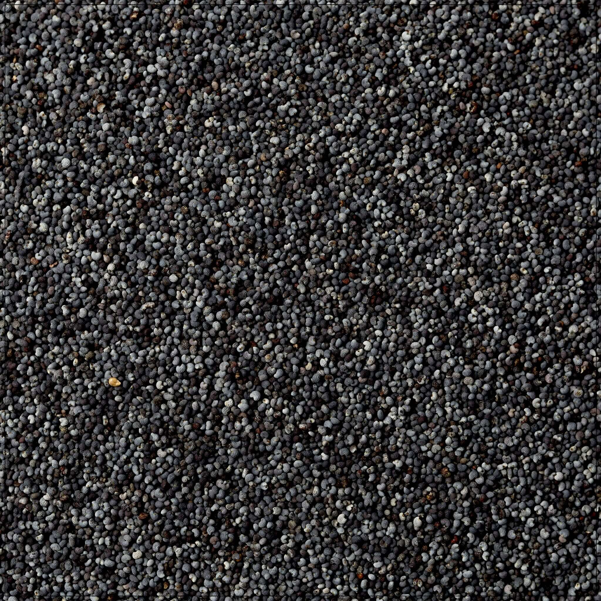 Poppy Seeds