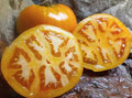 Golden Jubilee Tomato Seeds - 120+ Heirloom Organic Non-GMO Seeds - Solanum lycopersicum