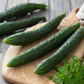 Suyo Long Cucumber Seeds - Heirloom Organic Non-GMO - Rare Variety - Cucumis sativus