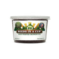Apricot Tree Grow Kit – Non-GMO Seeds & Starter Pot