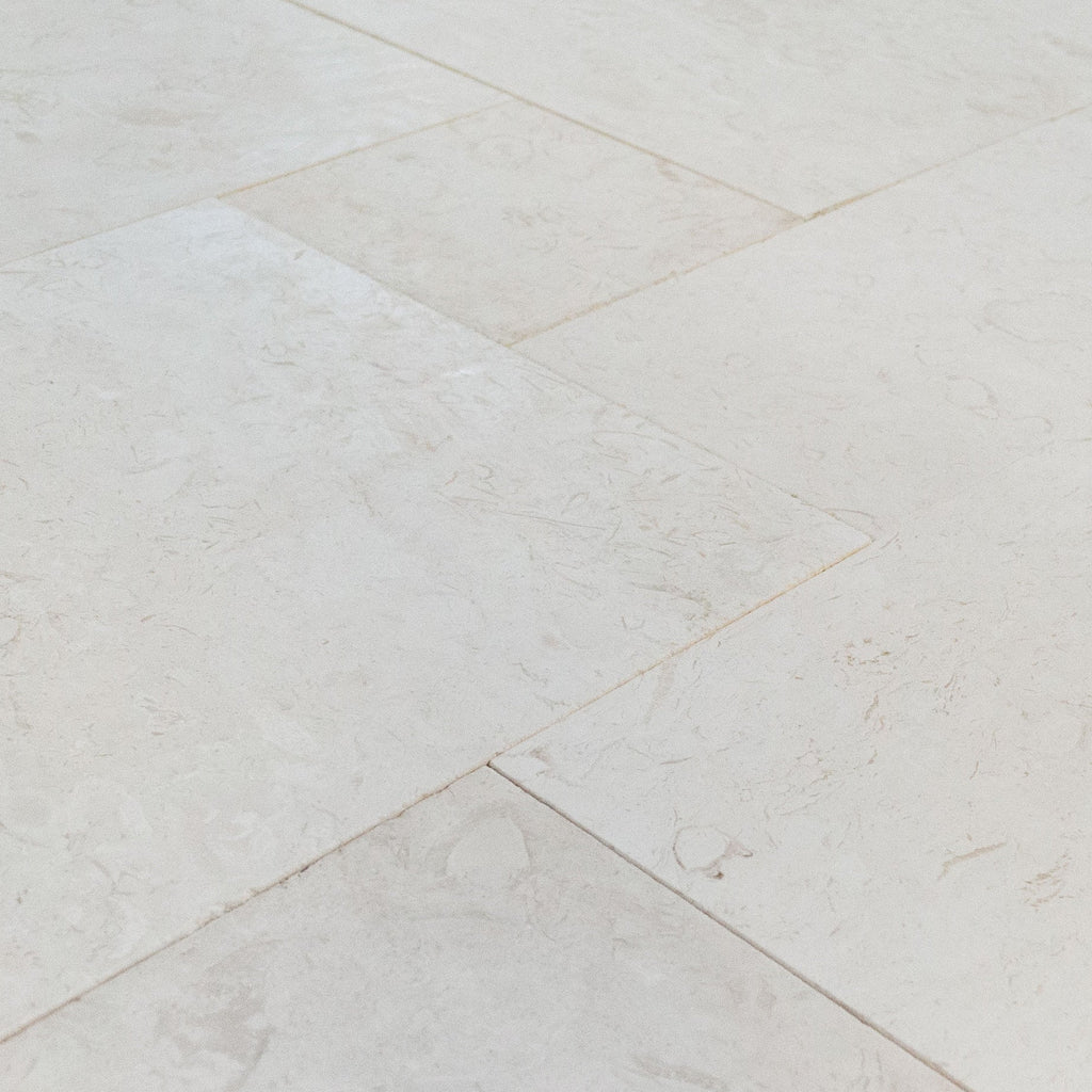 White Fossil Shell Stone Limestone Pattern Floor and Wall Tile