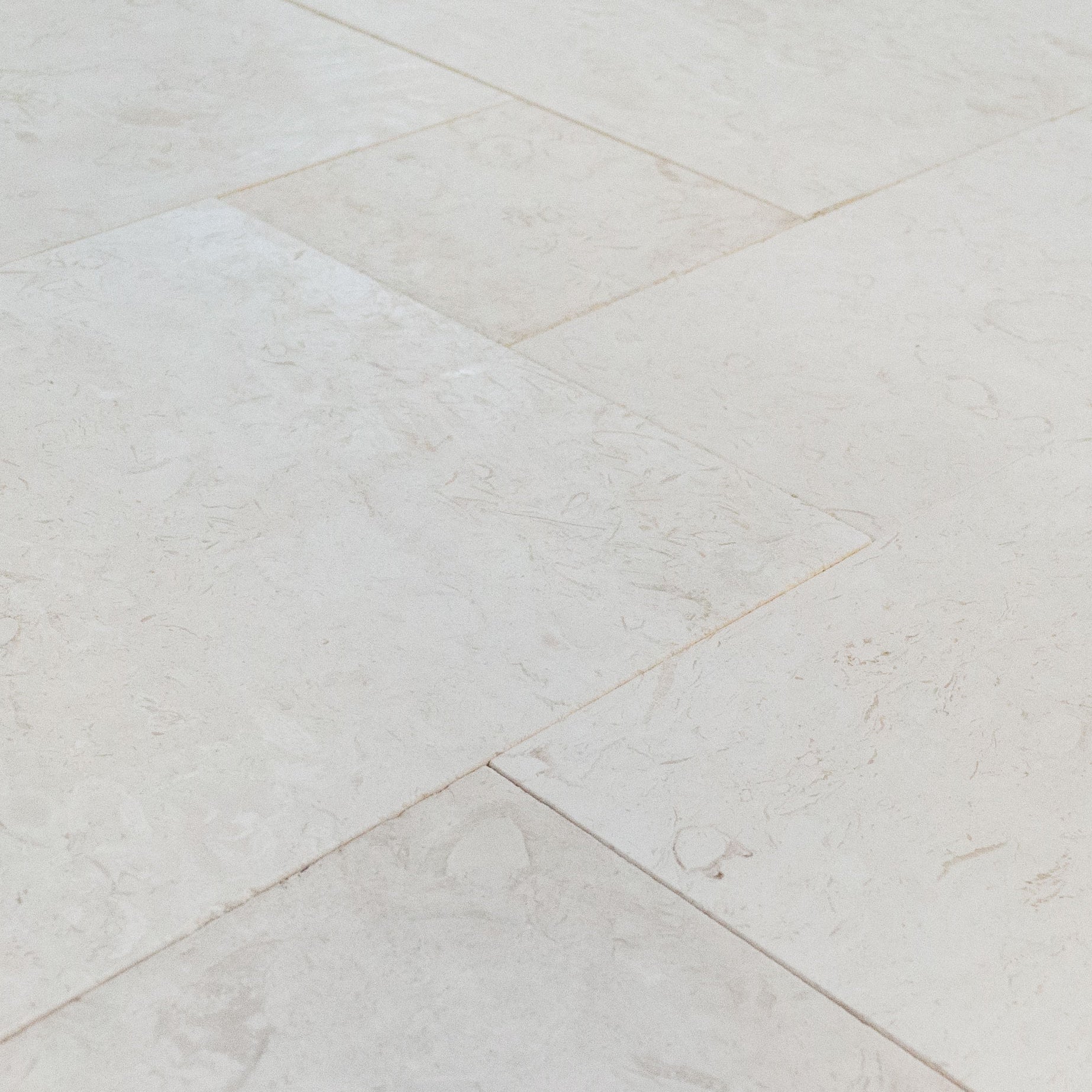 White Fossil Shell Stone Limestone Pattern Floor and Wall Tile