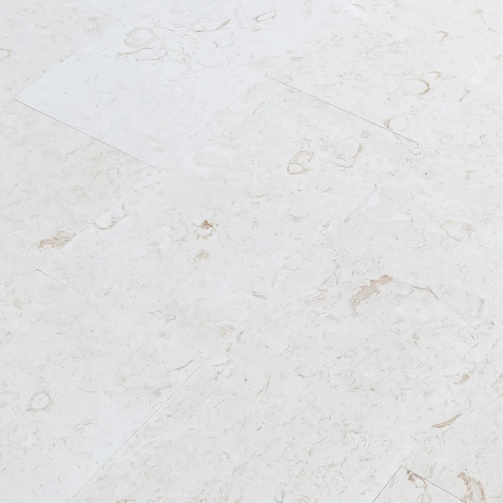 Limestone Tile White Shell Stone Natural Stone Floor and Wall Premium Quality