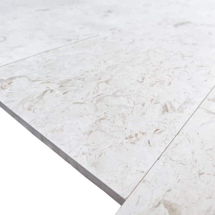 Limestone Tile White Shell Stone Natural Stone Floor and Wall Premium Quality