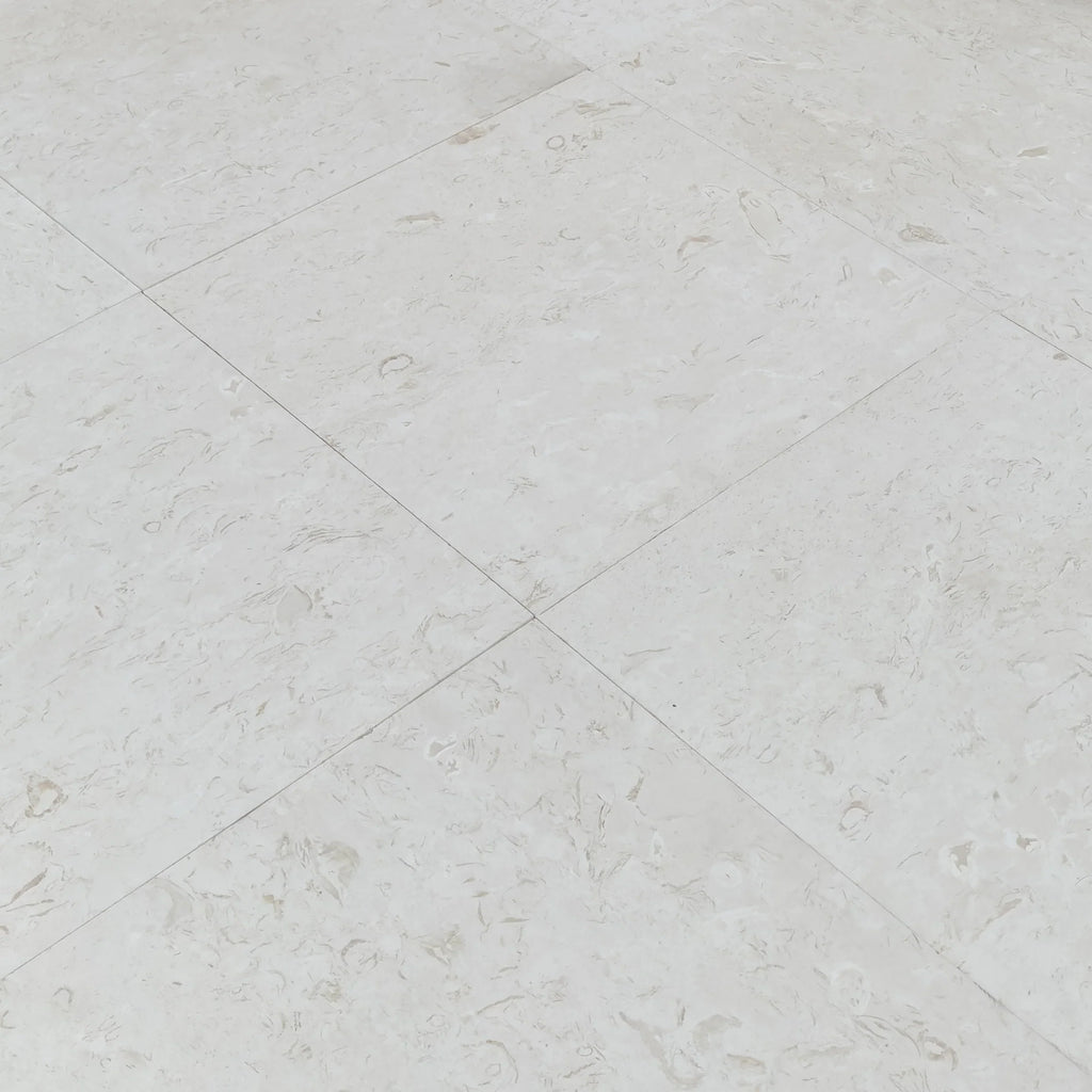 Limestone Tile White Shell Stone Natural Stone Floor and Wall Premium Quality