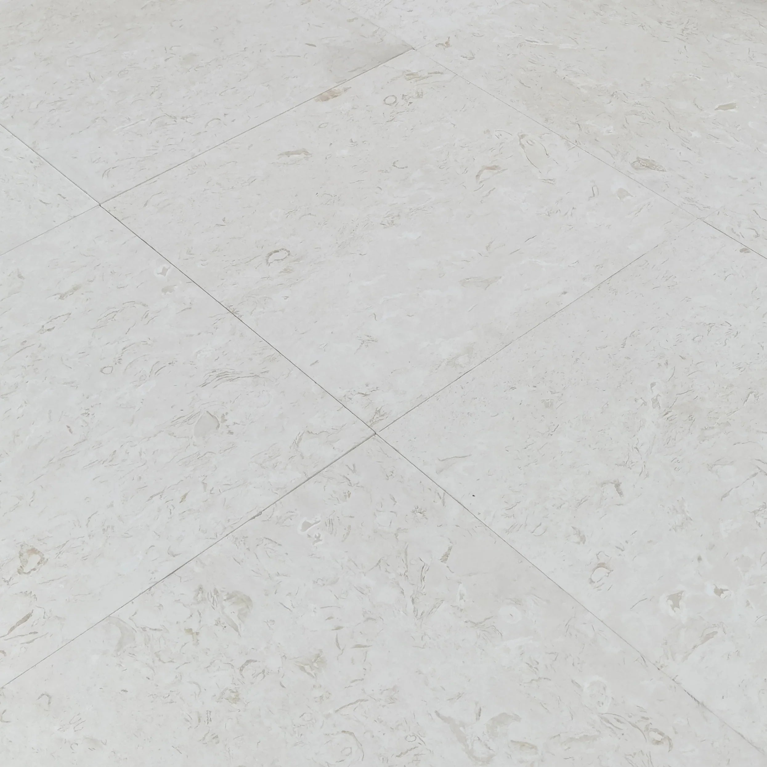 Limestone Tile White Shell Stone Natural Stone Floor and Wall Premium Quality