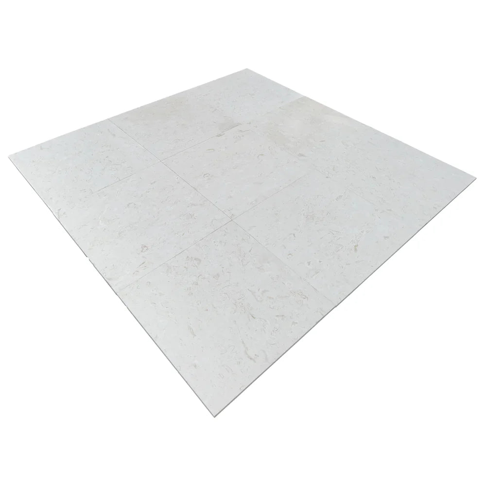Limestone Tile White Shell Stone Natural Stone Floor and Wall Premium Quality