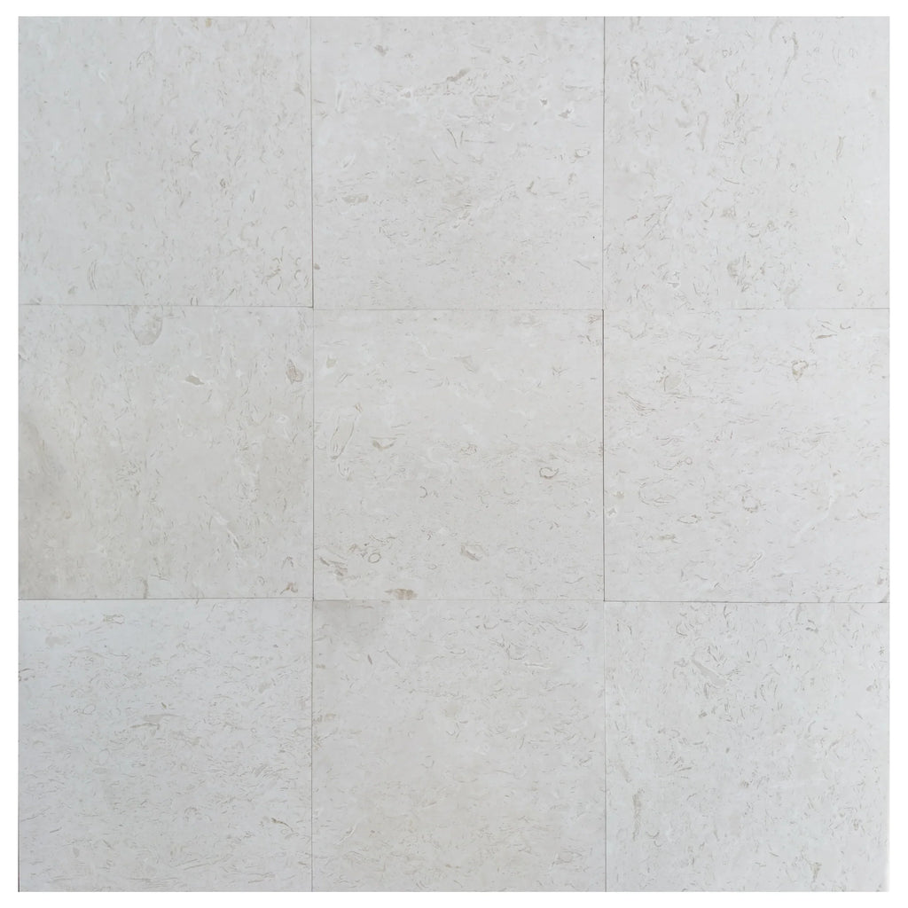 Limestone Tile White Shell Stone Natural Stone Floor and Wall Premium Quality