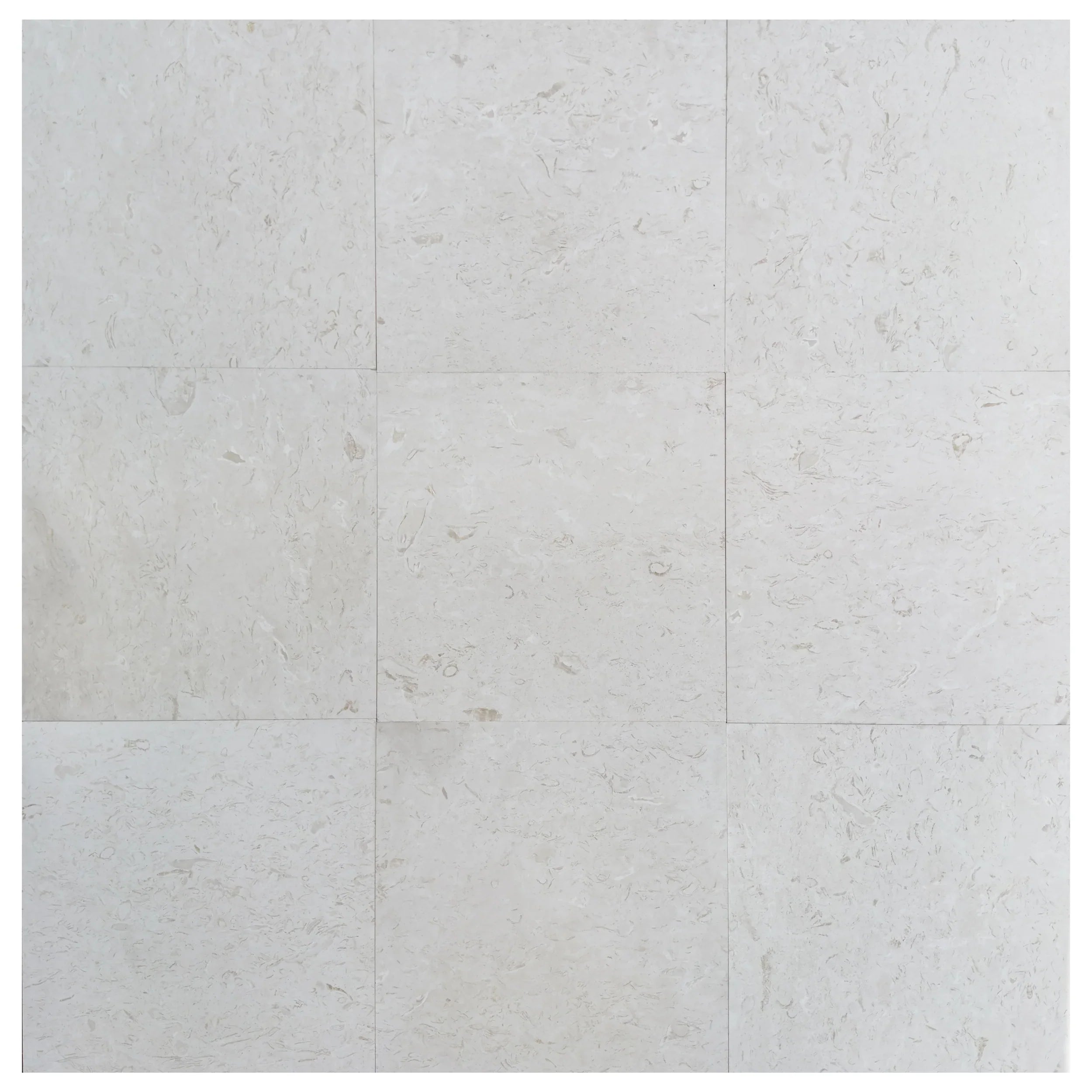 Limestone Tile White Shell Stone Natural Stone Floor and Wall Premium Quality