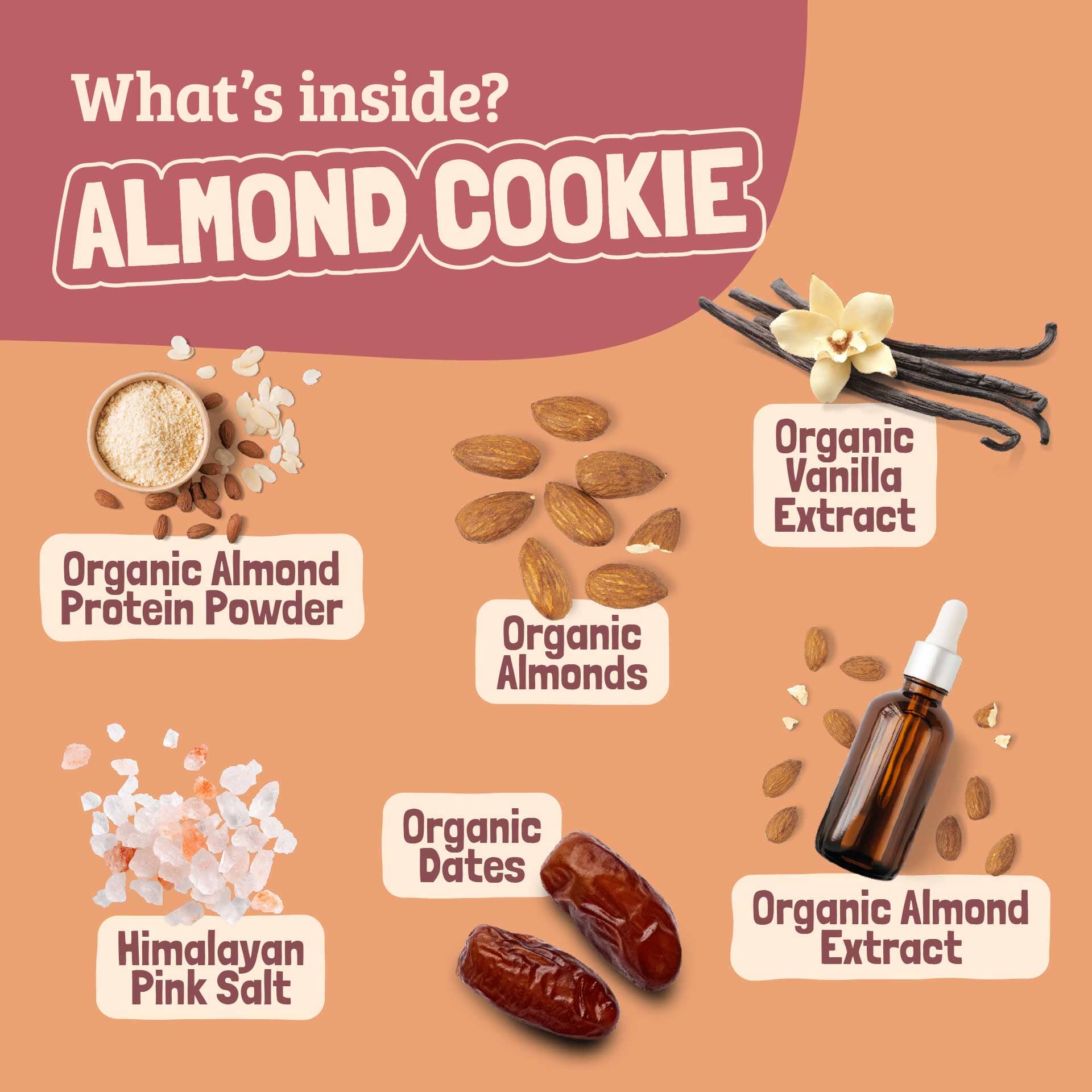Skout Organic Almond Cookie Kids Bar