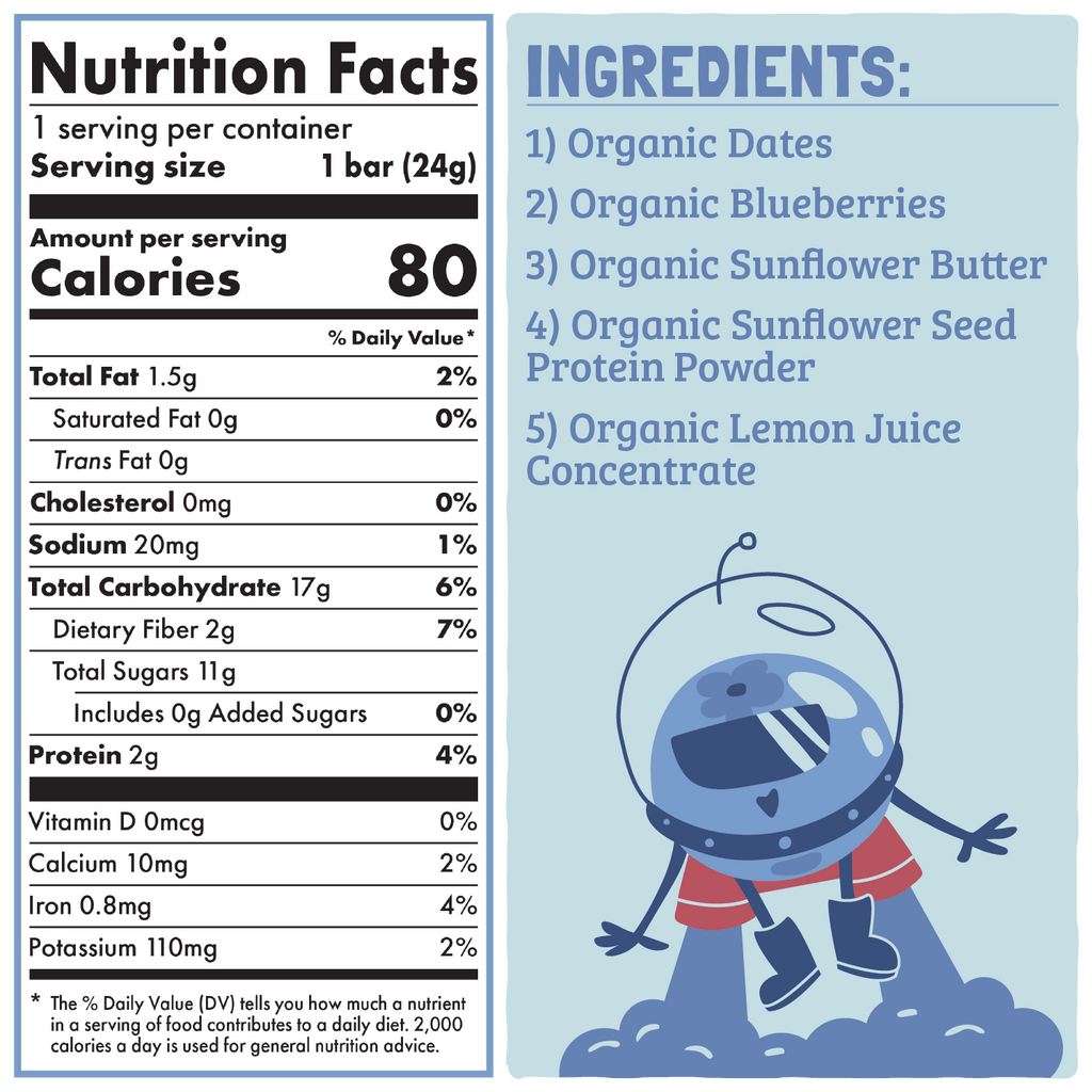 Skout Organic Blueberry Blast Kids Bar