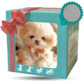 The Lifelike Robotic Puppy Pal