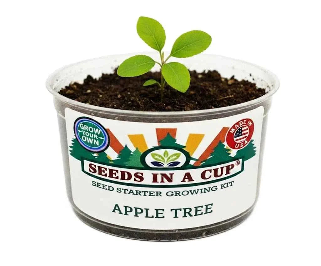 Apple Tree Grow Kit – Non-GMO Seed Starter Set