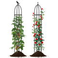 Metal Garden Arch and Obelisk Trellis Set for Climbing Plants