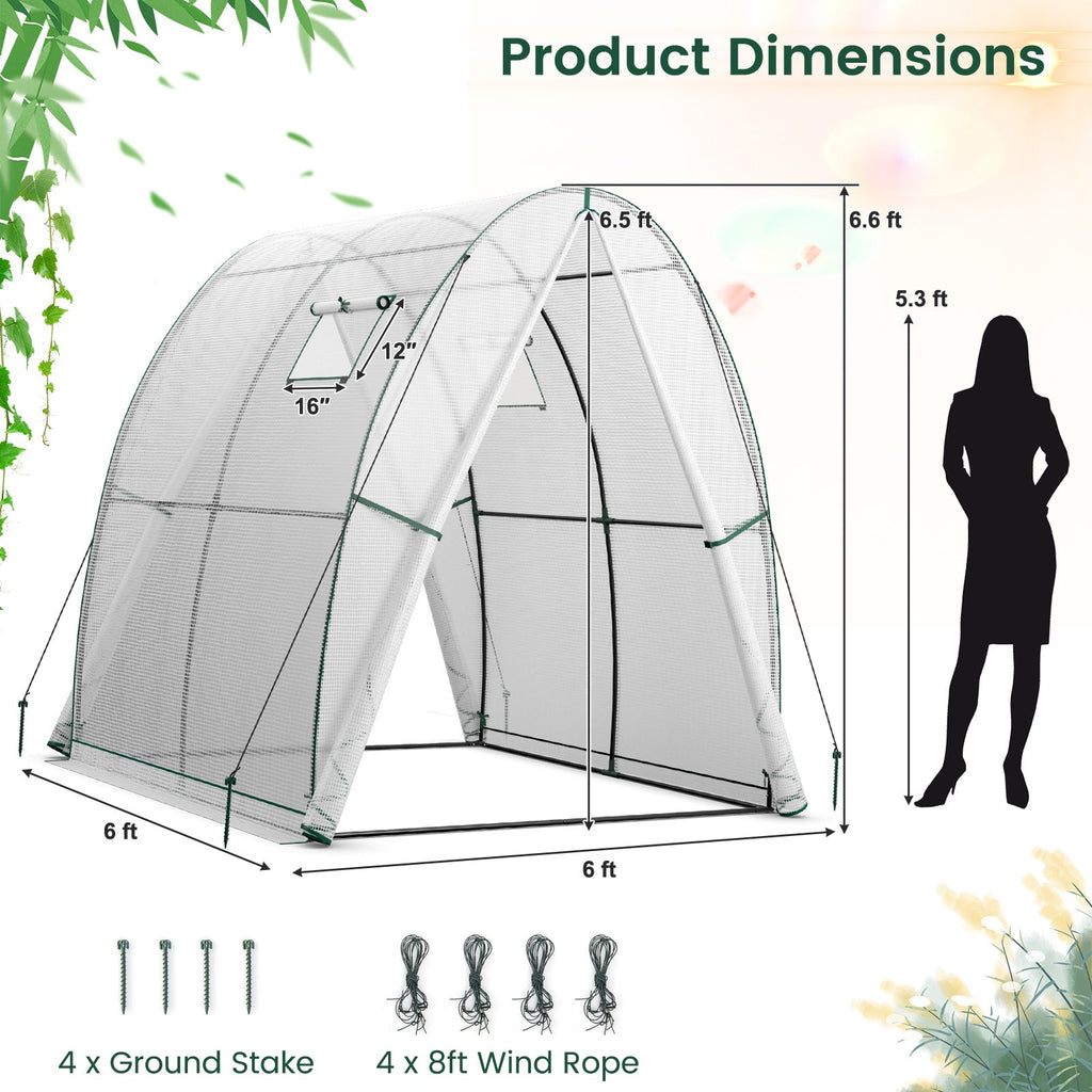 6 x 6 x 6.6 FT Outdoor Wall-in Tunnel Greenhouse