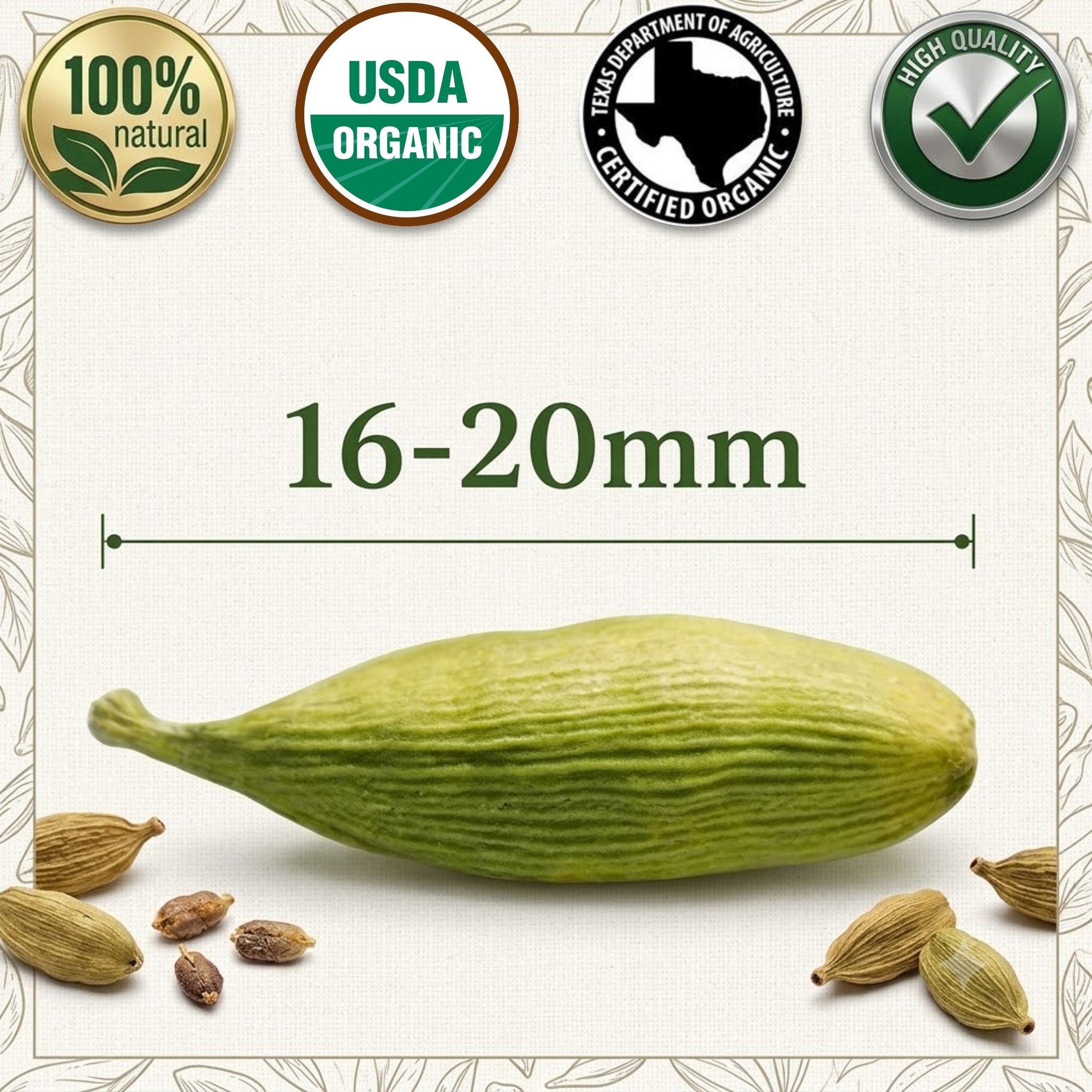 Organic Cardamom Pods — USDA Certified, Non-GMO | Jumbo Green Pods, Chai & Biryani